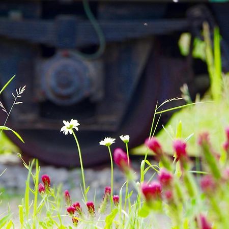 Urlaubsbahnhof-Schlafwagen Villa เลาเทอร์บาค ภายนอก รูปภาพ