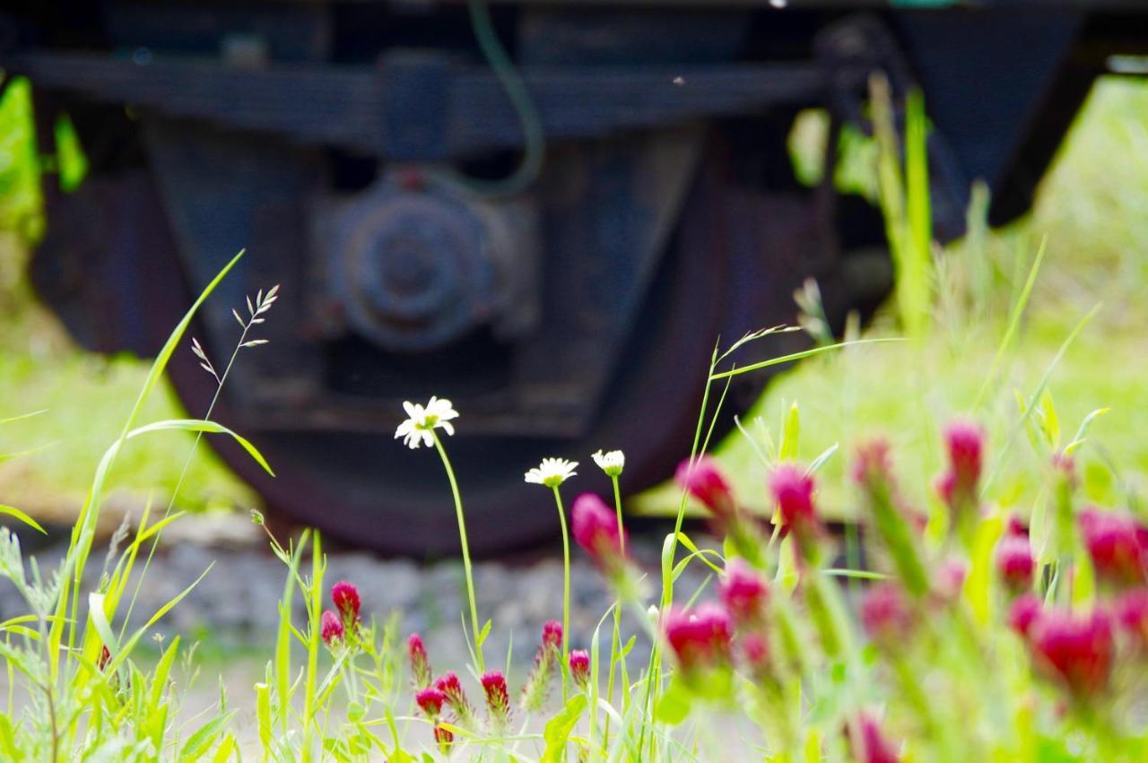 Urlaubsbahnhof-Schlafwagen Villa เลาเทอร์บาค ภายนอก รูปภาพ